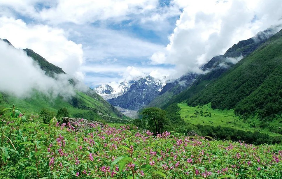 उत्तराखंड में मौसम बदलने की आहट, 5 दिसंबर से बारिश और बर्फबारी का दौर शुरू