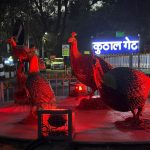 कुमाऊ की लोक संस्कृतिक धरोहर की झलक कुठालगेट पर पर्यटकों; यात्रियों को राज्य की संस्कृति, लोकपरम्परा का कर रहा स्मरण